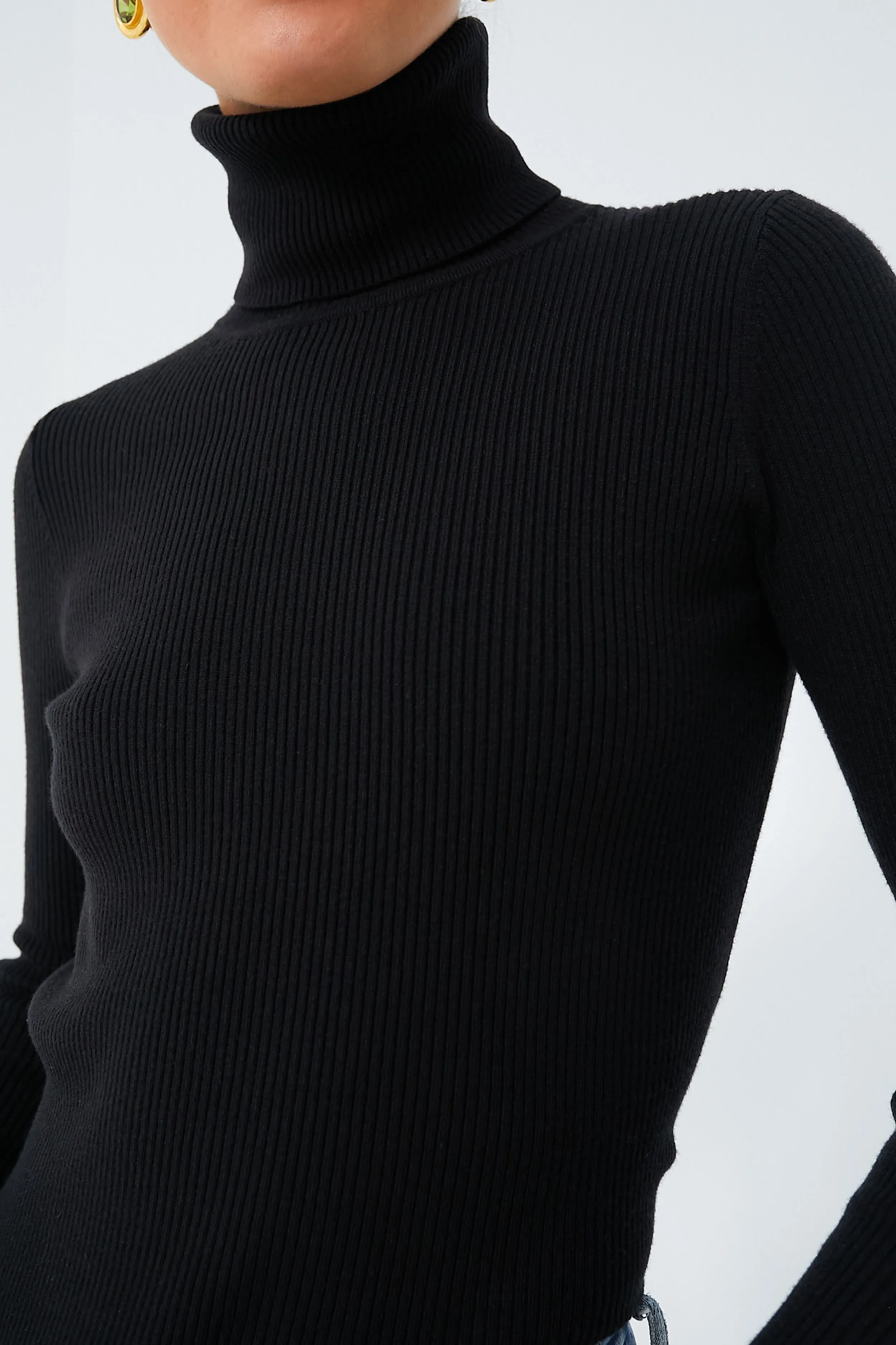 Black Arlo Ribbed Turtleneck